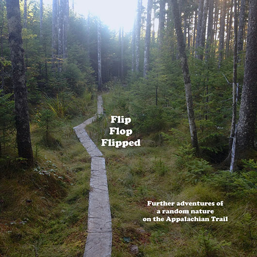 Flip Flop Flipped